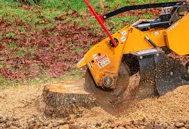 Best Tree Mulching  in Sayville, NY