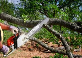 Best Lawn Drainage Solutions  in Sayville, NY