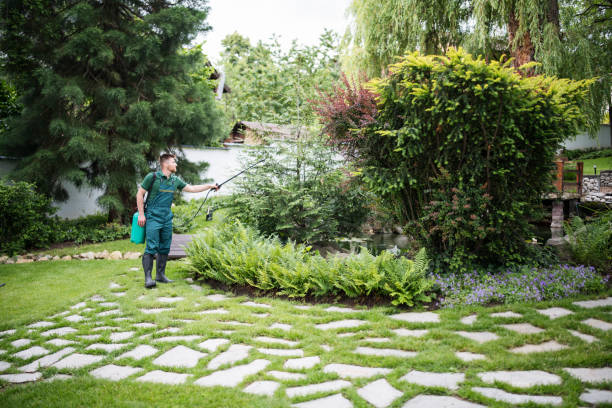 Best Soil Testing and Treatment  in Sayville, NY